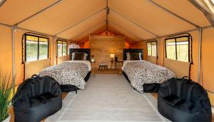 a room with two beds in a tent at Naturluxe & Stars in Watkins Glen +12 photos