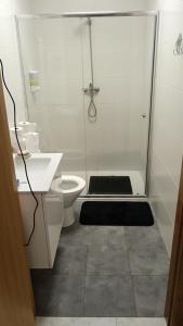 a bathroom with a shower with a toilet and a sink at km24 ALBERGUE in Padrón