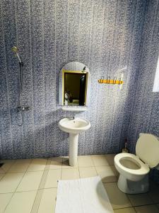 a bathroom with a sink and a toilet and a mirror at Hotel Chez Fanny in Palimé
