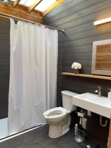 a bathroom with a white shower curtain and a toilet at Naturluxe & Stars in Watkins Glen
