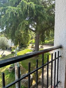 a view of a tree from a balcony at El Cerro del Pinar in Oropesa