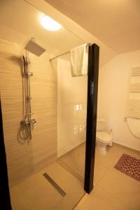 a bathroom with a shower and a toilet at Casa Bradut in Dorna Arini +74 photos
