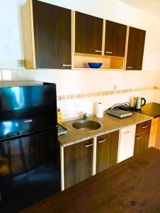 a kitchen with a sink and a black refrigerator at Hera Sweet Apartment in Niš