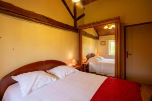 a bedroom with two beds and a mirror at Domaine de pommarede in Carsac-Aillac +11 photos