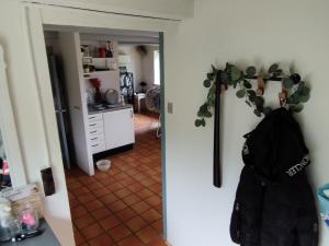 a room with a hallway with a plant on the wall at Small House ærø in Marstal