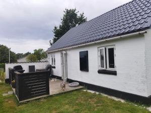 a white house with a dog sitting on a wooden deck at Small House ærø in Marstal
