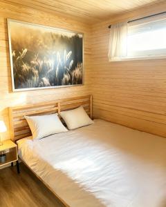 a bed in a room with a painting on the wall at Tiny House Cēsis in Cēsis