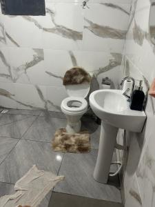 a bathroom with a toilet and a sink at Pousada Jangarelli in Guaíra