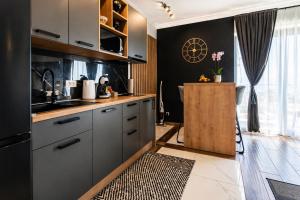 a kitchen with gray cabinets and a counter with a sink at Apartments Alba Chiara in Kastav +35 photos