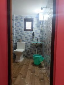 a bathroom with a toilet and a sink at Destiny Lodge & Homestay in Nāzirā