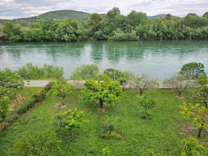 an aerial view of a river with trees and grass at Kiki - Emerald River Suite with Private Gardens in Čapljina