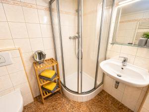 a bathroom with a shower and a sink and a toilet at Gemütliches Apartment am Bad Muskauer Park Sauna zu buchbar Hunde willkommen Ruhige Lage in Bad Muskau