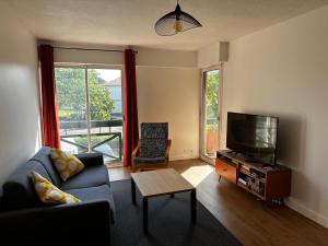 a living room with a couch and a tv at Appartement Soustons Les marronniers in Soustons
