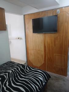 a room with a bed and a flat screen tv at Departamentos y Cuartos Apaxco in Apaxco de Ocampo