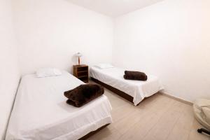 two beds in a room with white walls at Rinconcito de Paz en Xalapa in Xalapa