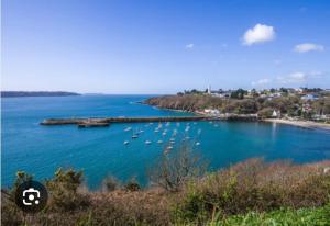 a large body of water with boats in it at Maison de ville quartier saint-pierre in Brest