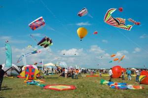 a group of people flying kites in a field at Al Civico 23 in Castiglione del Lago