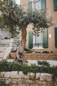 a tree in front of a building with a window at La Villa Residence in Rovinj +62 photos