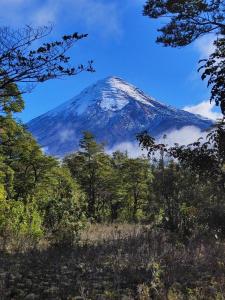 a snow covered mountain with trees in the foreground at Refugio PARQUE NACIONAL ALERCE ANDINO in Puerto Montt