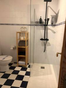 a bathroom with a glass shower with a toilet at Escuelas de collía A AT-1537-AS in Arriondas