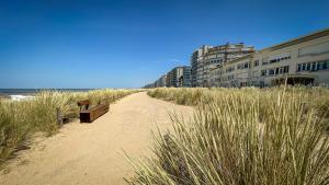 a bench sitting on a sandy beach next to a building at Studio Palace 217 in Middelkerke +4 photos