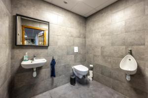 a bathroom with a sink and a toilet and a mirror at Le Xilotik Gîte in Espelette
