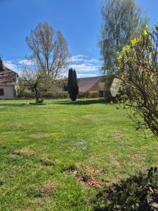 a field of grass with a house and trees at Studio Les Sapins in Chapois