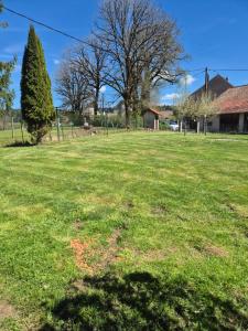 a field of green grass with a tree and a house at Studio Les Sapins in Chapois +1 photo