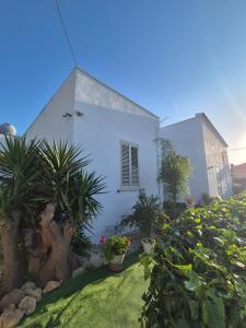 a white house with plants in front of it at A un Passo dal Tramonto in Marsala