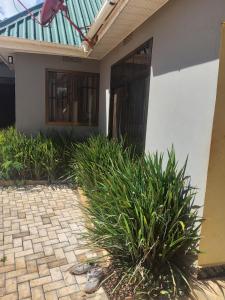 a house with a door and some plants in front of it at Cae Cozy Home in Karatu