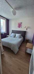 a bedroom with a bed and a purple wall at Ma petite maison in Vierzon