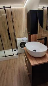 a bathroom with a sink and a washing machine at Umińskiego Spacious Apartment in Poznań +25 photos