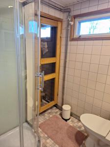 a bathroom with a shower and a toilet and a window at Saunamökki in Helsinki