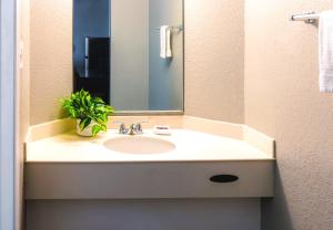 a bathroom with a sink with a mirror and a plant at Home Suites Culebra in San Antonio +4 photos