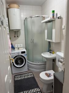a small bathroom with a shower and a washing machine at Apartman B&S Apatin in Apatin