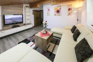 Μια τηλεόραση ή/και κέντρο ψυχαγωγίας στο Appartement Gimpl