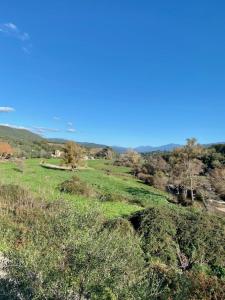 a green hill with trees and a blue sky at Paul in Serra-di-Ferro