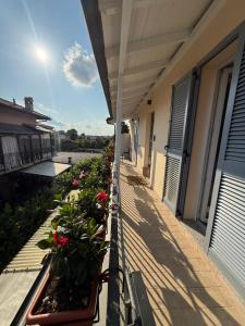 a balcony with flowers and plants on a building at Tesorella guest house in Cassano dʼAdda