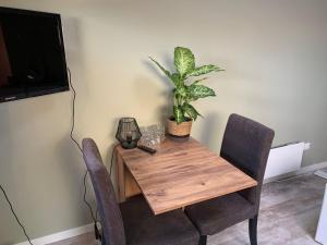 a wooden table with two chairs and a plant on it at Mouton Beach Lodge in Petten +4 photos