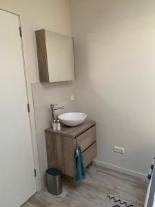 a bathroom with a sink and a mirror at Mouton Beach Lodge in Petten