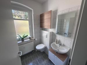 a bathroom with a sink and a toilet and a window at Gästewohnung Mable in Greiz
