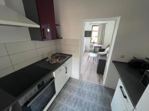 a kitchen with a sink and a counter top at Gästewohnung Mable in Greiz