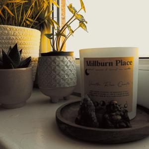 a group of plants and a box on a table at Cozy Homestay in Rothesay