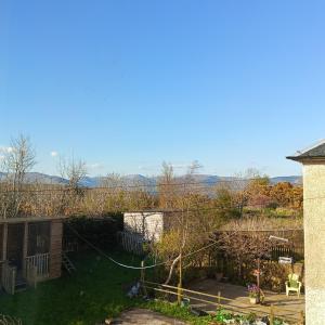 a view of a garden with a yard with a fence at Cozy Homestay in Rothesay +13 photos