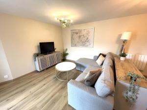 a living room with a couch and a tv at Le Barral in Voiron