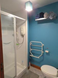 a blue bathroom with a shower and a toilet at Motcombe Cottage in Hatherleigh