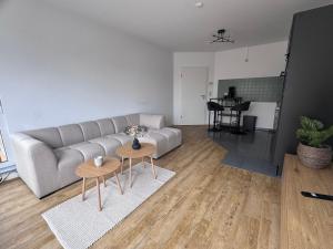 a living room with a couch and a table at Stadttor Quartier Puschkinstrasse 58, Lutherstadt Wittenberg in Lutherstadt Wittenberg +1 photo