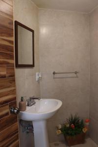 a bathroom with a white sink and a mirror at Casa La Vikina in Guanajuato