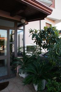 Zahrada ubytování Piccolo Hotel Lamezia