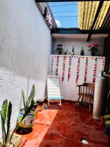 a room with potted plants on a wall with a window at Casa 74 hostel in Comitán